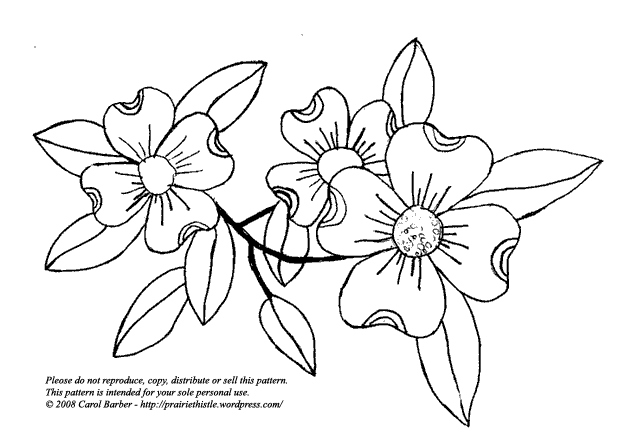 dogwood flower coloring pages - photo #21