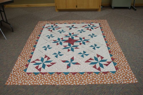 Carol's two color quilt